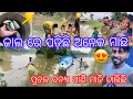 Download Lagu ସାତ ଦିନ କୁ ଗୋଟିଏ ଲେଖାଏଁ ବନ୍ୟା ଆସୁଛି😭😩 ପ୍ରବଳ ବନ୍ୟା ପାଣି ମାଡି ଚାଲିଛି😔🫣😇