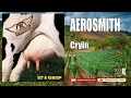 Download Lagu AEROSMITH -  CRYIN  (HQ) MP3