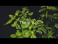 Download Lagu Box Car Racer  - There is | Lyric video
