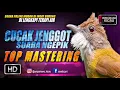 Download Lagu dahsyat untuk ancaman || TOP MASTERING MURAI BATU