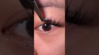 Wispy DIY Lash Mapping for Beginners 12 14 16 14