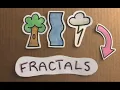 An Introduction to Fractals in Nature || Science Ambassador Scholarship
