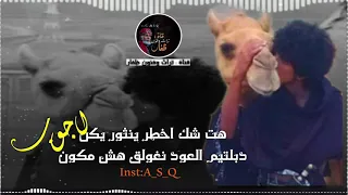 تصميم دبرارت      أداء   سالم حركون دندنها