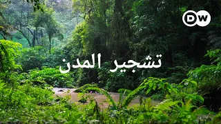 وثائقي غابات في المدينة هل تستطيع الأشجار إيقاف التغير المناخي وثائقية دي دبليو 