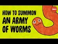 This weird trick will help you summon an army of worms - Kenny Coogan