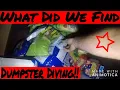 Big Lots Dumpster Diving We found this in the Dumpster Trash into treasure Trash into Cash