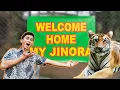 Download Lagu AKHIRNYA JINORA PULANG