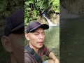 Download Lagu wahai ikan kampret #ikan#fypyoutube #viralvideo #fyp