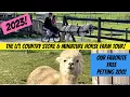 Li l Country Store Mini Horse Farm Tour Lancaster County Our Favorite FREE Petting Zoo