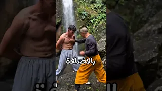 حلم الكونغ فو 