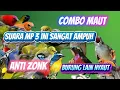 Download Lagu PIKAT BURCIL KOMBINASI SOGON RIBUT DAN KONIN RIBUT MP3 ANTI ZONK SUARA JERNIH