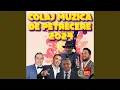 Lagu COLAJ MUZICA DE PETRECERE 2024