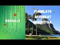 Download Lagu FUNMILAYO AFROBEAT ORQUESTRA - Ondina