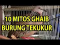 Download Lagu Mitos Burung Tekukur yang Konon Bisa Membawa Rejeki