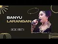 BANYU LARANGAN-DEDE RISTY(lirik lagu)#banyularangan #dederisty #liriklagu