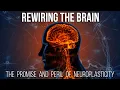 Rewiring the Brain The Promise and Peril of Neuroplasticity World Science Festival