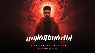 حماده أبو الحسن  العندليب    ابنك فيها الفارس  ادعي لي أوي ياما    توزيع أبو صابر             دندنها