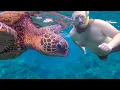 Hawaii on a Budget Top 10 Affordable Activities in Oahu Hawaii
