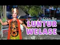 Download Lagu Karaoke - Luntur Welase - Dian Ratih (Official Video Karaoke ANEKA SAFARI)