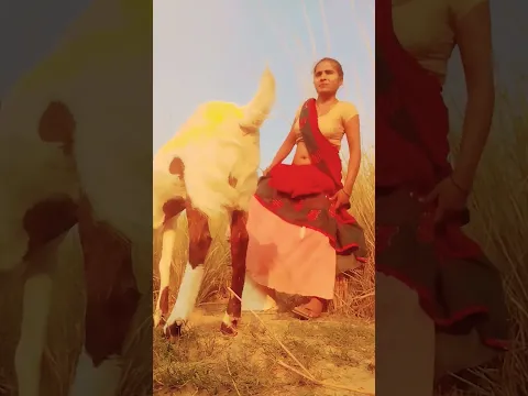 #animals
