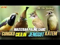 Lagu KAPAS TEMBAK - CILILIN -CUCAK JENGGOT - CUNGKO | MASTERAN MEWAH SANG JUARA PENGUNCI JURI