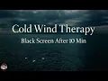 Cold Wind Therapy Sleep Meditation Black Scre