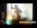 Download Lagu Transparent watering houseplants with model girl in a dress
