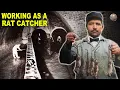 The Bizarre History of Professional Rat-Catchers