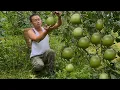 Download Lagu What is Uri's plan to leave the city to live in the countryside after so many years? , Lý Tử Tiêu 