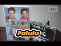 Download Lagu Bobby Tunya ft Metty Piris - Palulu (Lagu Ende)