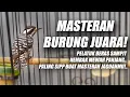 Lagu PALING CEPAT MASUK!! MASTERAN PELATUK BERAS GACOR JERNIH JEDA - PELATUK SAMPIT NEMBAK KASAR PANJANG