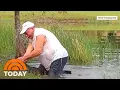 Shows Florida Man Rescuing His Puppy From Alligator Attack TODAY