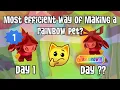 How I made a Rainbow Pet in AJ Was it Worth Doing