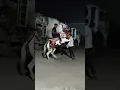 Download Lagu Bansi horse 🐴#horse #trendingshorts #trending #kathiyawadi_horse #horsegirl