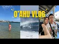 HAWAII VLOG Oahu Pt 2 North Shore 20ft Waves Chinatown Don Quijote Poke Beach