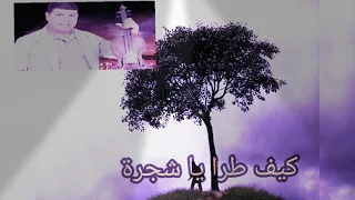 سعيد ولد حوات كيف طرا يا شجرة 