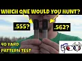 patterning the tristar g2 viper with indian creek 555 vs 562 with apex ammo bco review