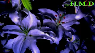 سميرة سعيد   تقدر تقولي دندنها