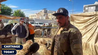                                                                            دندنها