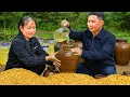 Download Lagu Process Of Fermenting Wine From Corn \u0026 Probiotics | Cook with Happy Family