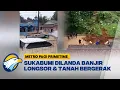 Download Lagu Banjir, Longsor dan Tanah Bergerak Landa Sukabumi [Metro Pagi Primetime]