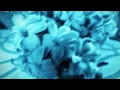 Download Lagu Cozruna - The Flower Girl (The End of The World Version) Lyrics