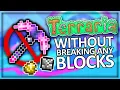 I Beat Terraria Without Breaking Any Blocks