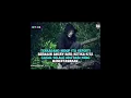 Download Lagu Dj Tiktok Play_For_Me (Pika Weni Merry)