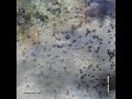 Katakulli - Beyhude