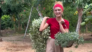El nuevo proyecto de mi hermana: llenar la casa de matas 🌱🤣🥰