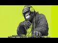 【Hip-Hop】おしゃれすぎるヒップホップMIX🎧聴けば気分が上がる超チルい音楽プレイリスト🦍Music played by a Gorilla DJ