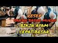 Lagu AYAM CEPAT BESAR DAN NAFSU MAKAN NAIK! CARA GANTI PAKAN KERING KE BASAH