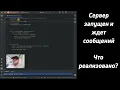 Building a Client-Server Application Using Python and WebSockets