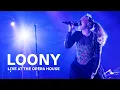 Download Lagu Looney: Live Concert | CBC Music Live